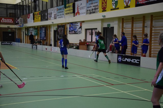 igdzuni 12